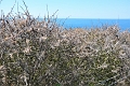 Holiday Dorset_9930